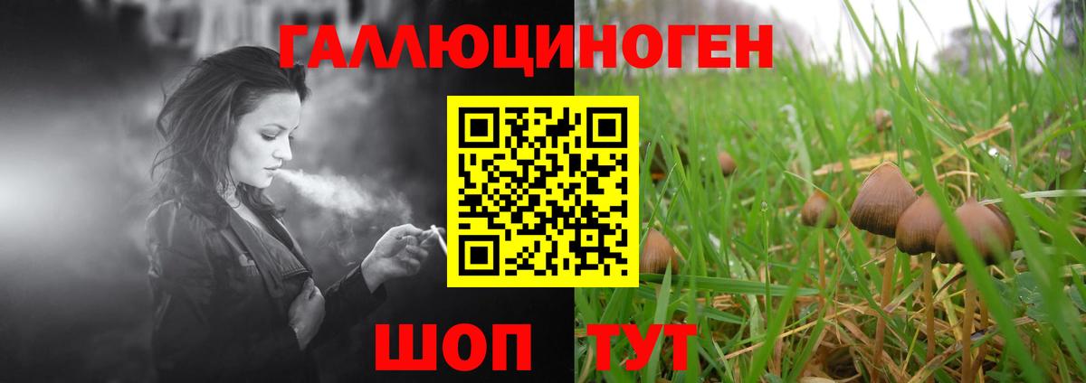 Дмитров  Галлюциногенные грибы MAGIC MUSHROOMS  Вход с VPN  Галлюциногенные грибы Magic Shrooms 